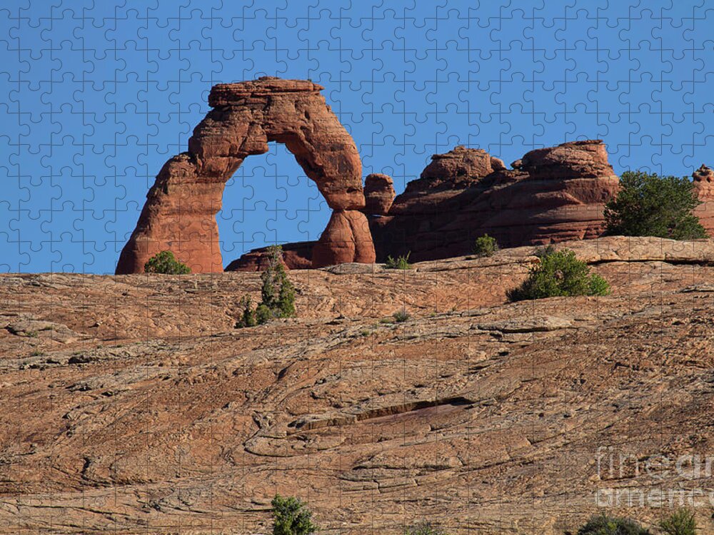 Utah Landscape Jigsaw Puzzle featuring the photograph Delicate View by Jim Garrison