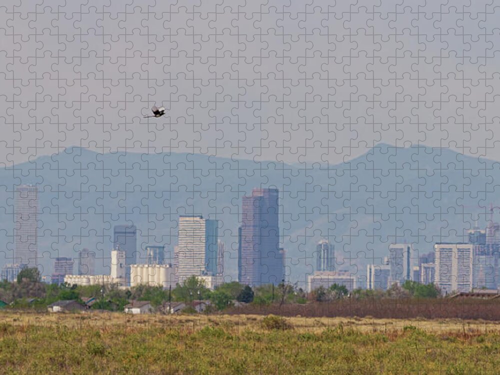 Denver Jigsaw Puzzle featuring the photograph Denver Colorado Pretty Bird Fly By by James BO Insogna