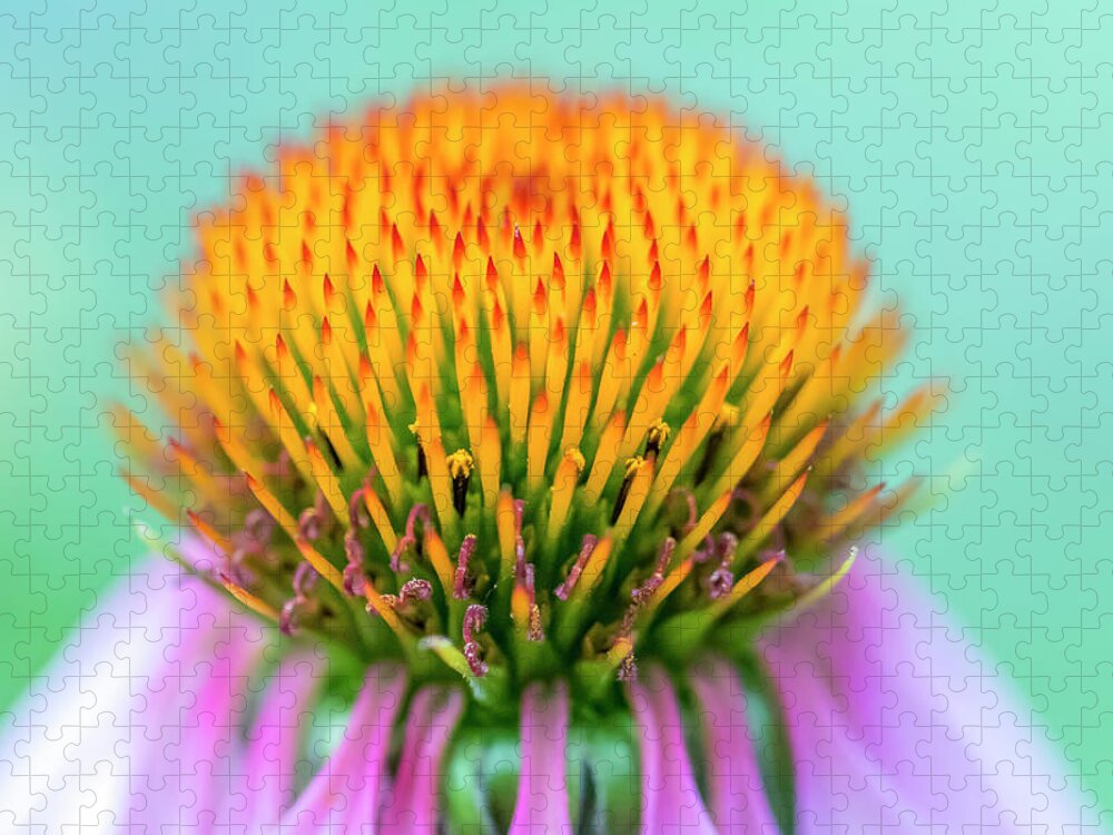 Flower Jigsaw Puzzle featuring the photograph Depth of Field by Allin Sorenson