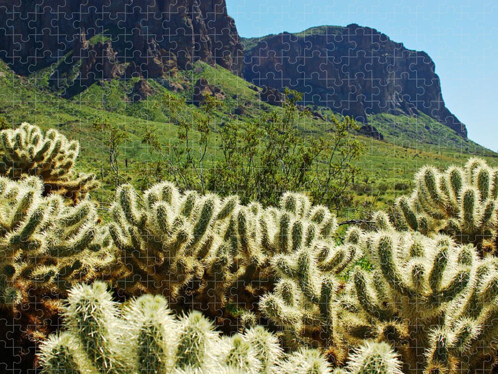 Arizona Jigsaw Puzzle featuring the photograph Desert Cholla 1 by Jill Reger
