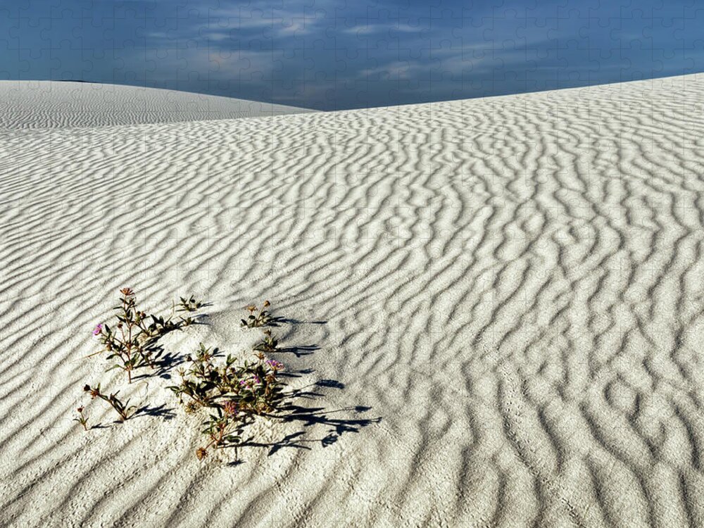 White Sands Jigsaw Puzzle featuring the photograph Desert Life by James Barber