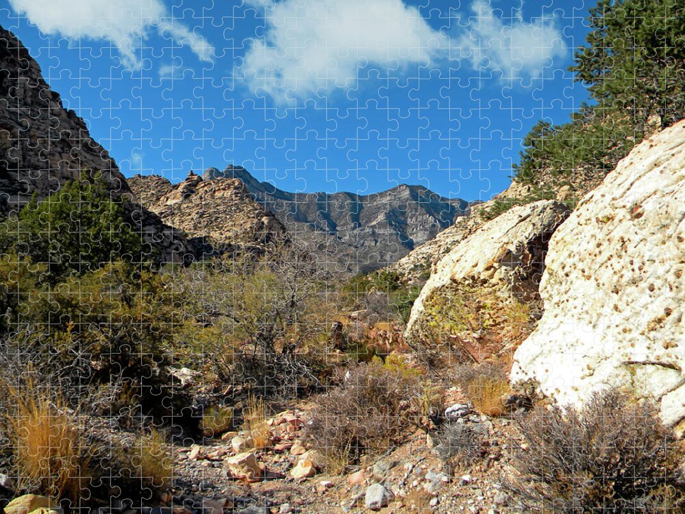 Frank Wilson Jigsaw Puzzle featuring the photograph Desert Wilderness by Frank Wilson