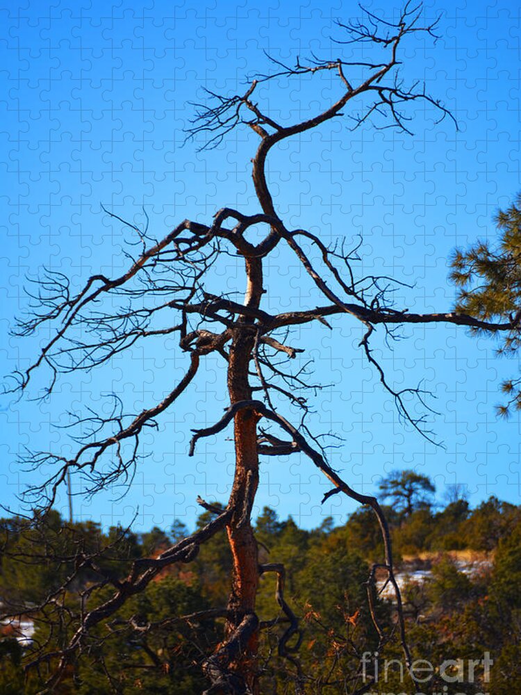 Southwest Landscape Jigsaw Puzzle featuring the photograph Deserts toll by Robert WK Clark