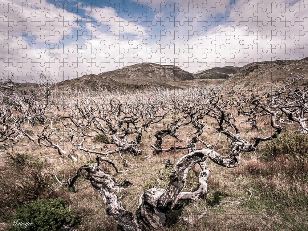 Fire Jigsaw Puzzle featuring the photograph Desolation by Andrew Matwijec