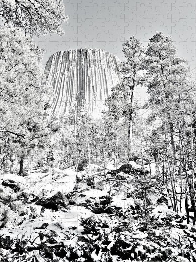 Devils Tower Jigsaw Puzzle featuring the photograph Devils Tower Wyoming by Merle Grenz