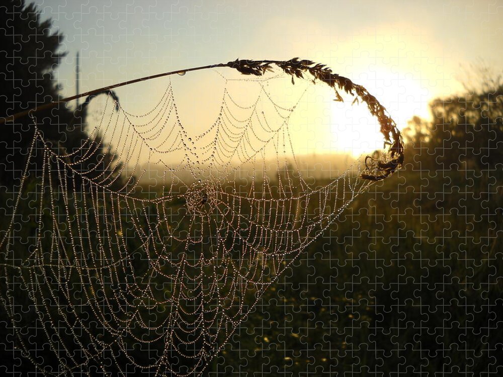 Dew Jigsaw Puzzle featuring the photograph Dew on Spider Web at Sunrise by Kent Lorentzen