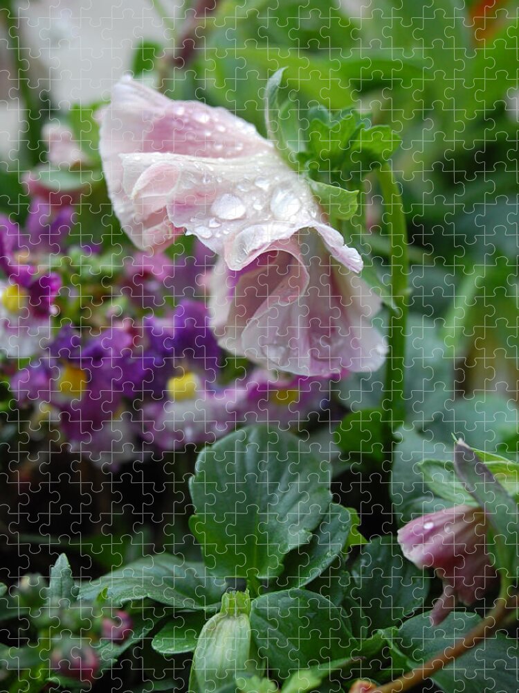 Pansy Jigsaw Puzzle featuring the photograph Dewy Pansy 4 by Amy Fose