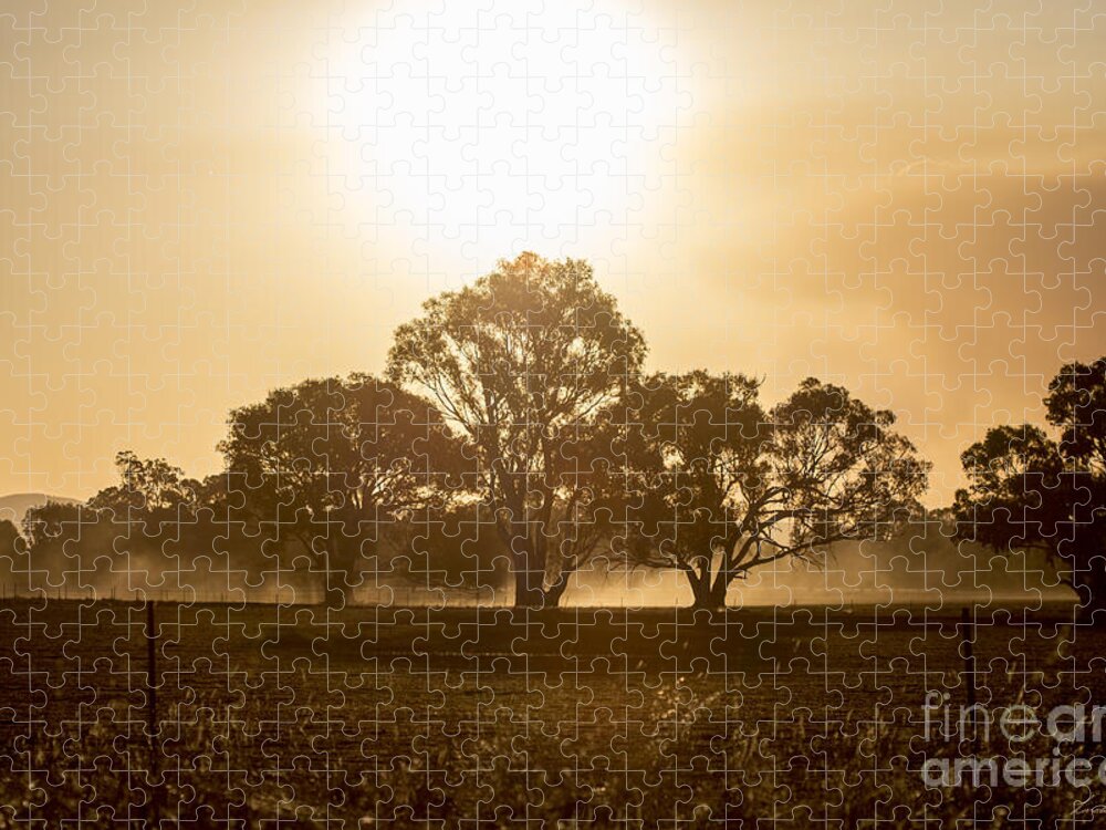 Sunset Jigsaw Puzzle featuring the photograph Dirtbike Dust by Linda Lees