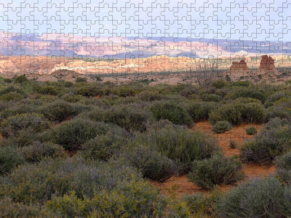 Landscape Jigsaw Puzzle featuring the photograph Distant View by Jessica Myscofski