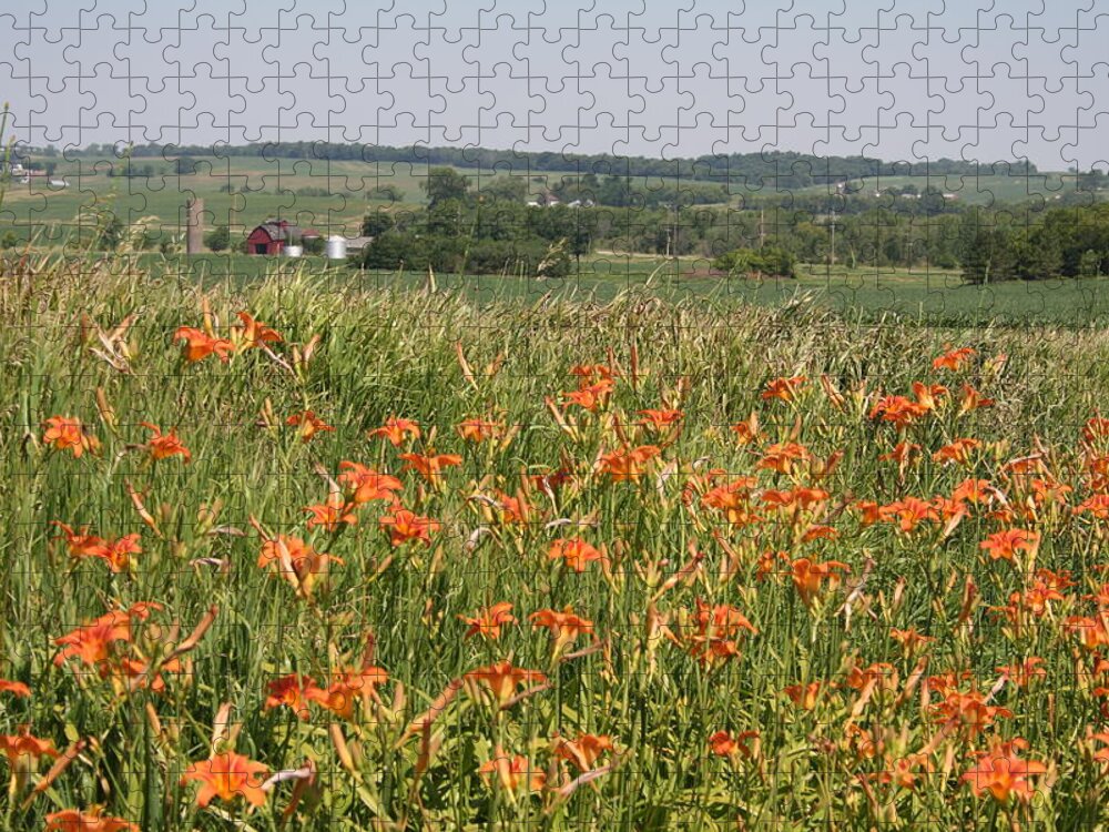 Ditch Lily View Jigsaw Puzzle featuring the photograph Ditch Lily View by Dylan Punke