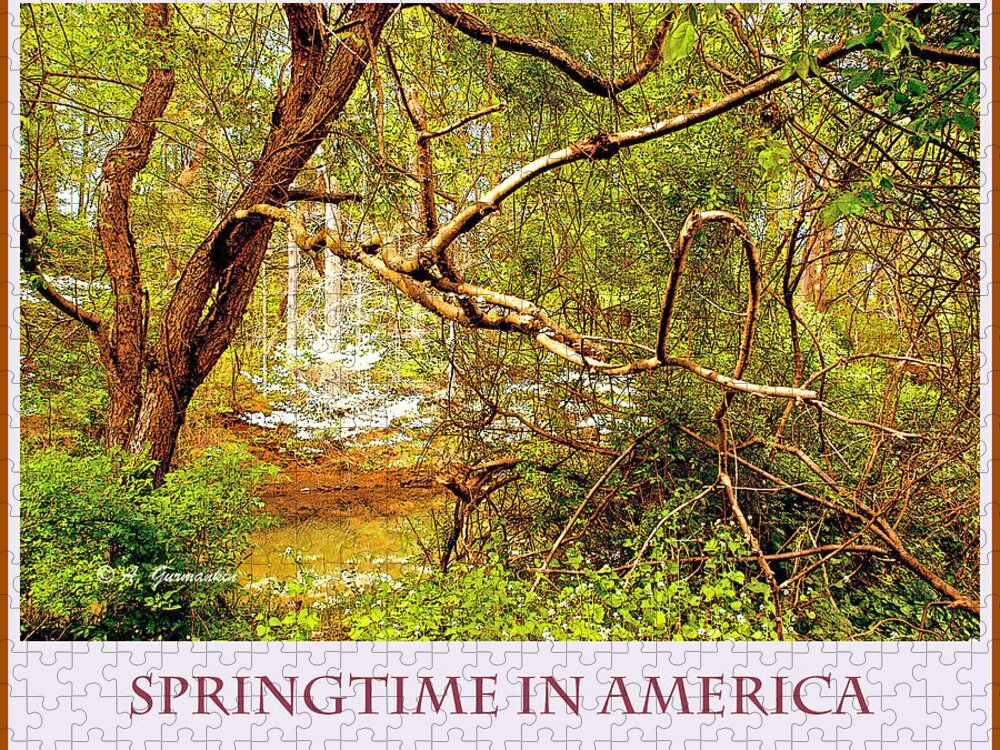 Dogwood Tree Jigsaw Puzzle featuring the photograph Dogwood Tree in the Forest Spring by A Macarthur Gurmankin