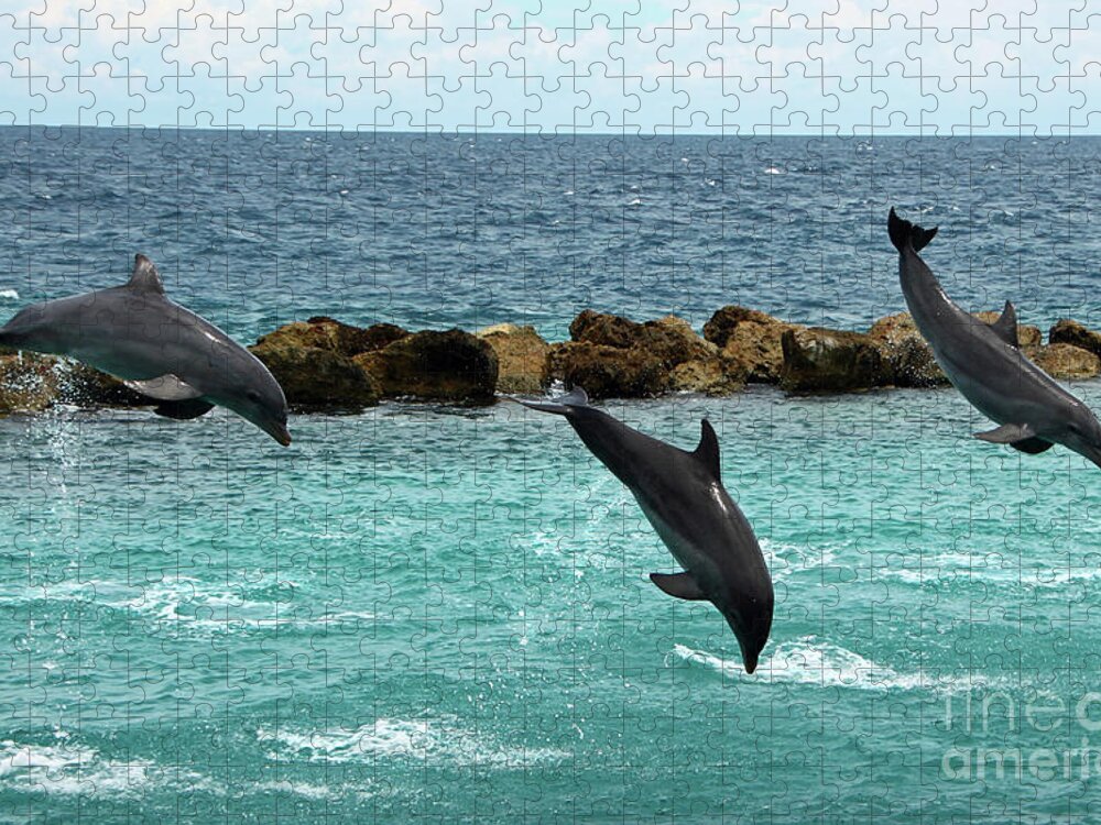 Dolphins Jigsaw Puzzle featuring the photograph Dolphins Showtime by Adriana Zoon