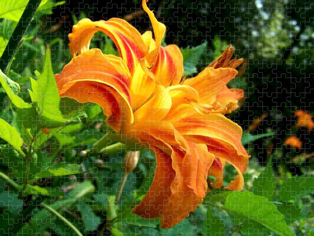 Flower Jigsaw Puzzle featuring the photograph Double Blossom Orange Lily by Jai Johnson
