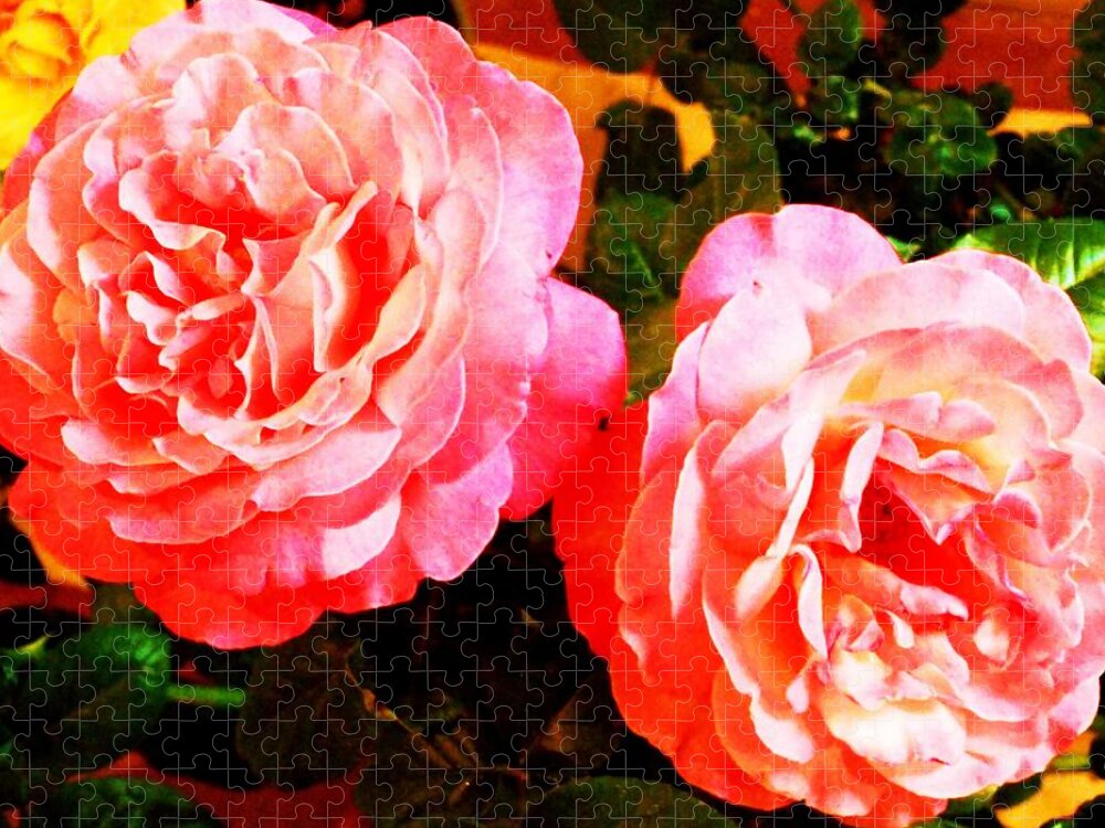 Flowers Jigsaw Puzzle featuring the photograph Double Pink by Dietmar Scherf