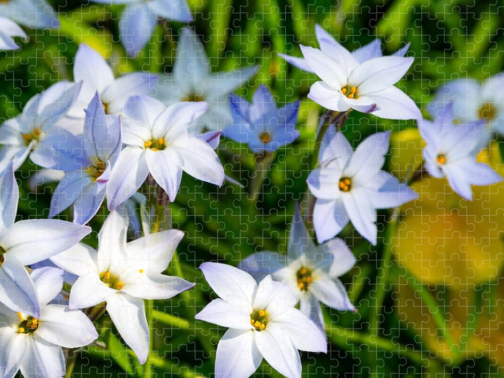 Steven Green Jigsaw Puzzle featuring the photograph Downtown Wildflowers by SR Green