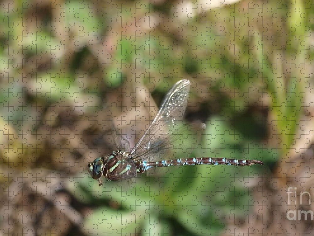 Dragonfly Jigsaw Puzzle featuring the photograph Dragonfly 23 by Vivian Martin