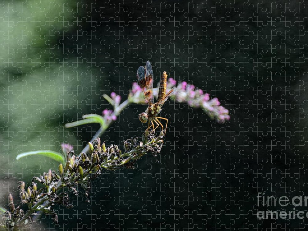 America Jigsaw Puzzle featuring the photograph Dragonfly II by Robyn King