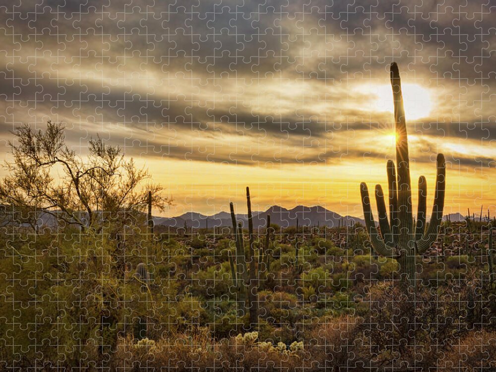 Sunset Jigsaw Puzzle featuring the photograph Dreamy Desert by Saija Lehtonen