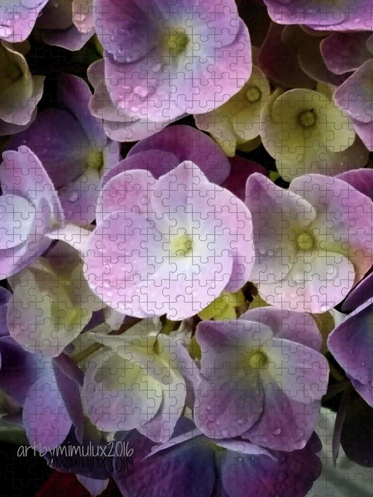 Hydrangea Jigsaw Puzzle featuring the photograph Dreamy Hydrangea by Mimulux Patricia No