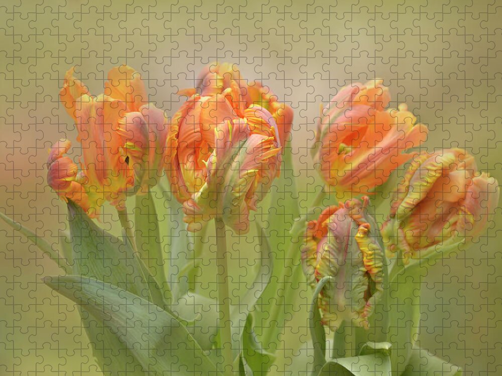 Abstract Jigsaw Puzzle featuring the photograph Dreamy Parrot Tulips by Ann Bridges