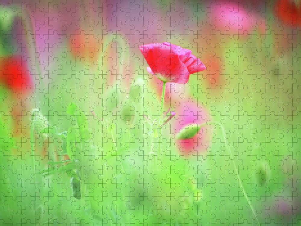 Dreamy Summer Meadow Jigsaw Puzzle featuring the digital art Dreamy Summer Meadow by Georgiana Romanovna