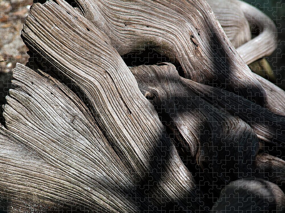 Nature Jigsaw Puzzle featuring the photograph Driftwood Abstract by Kenneth Albin