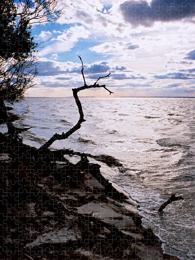 Barnegat Jigsaw Puzzle featuring the photograph Driftwood Dragon-Barnegat Bay by Steve Karol