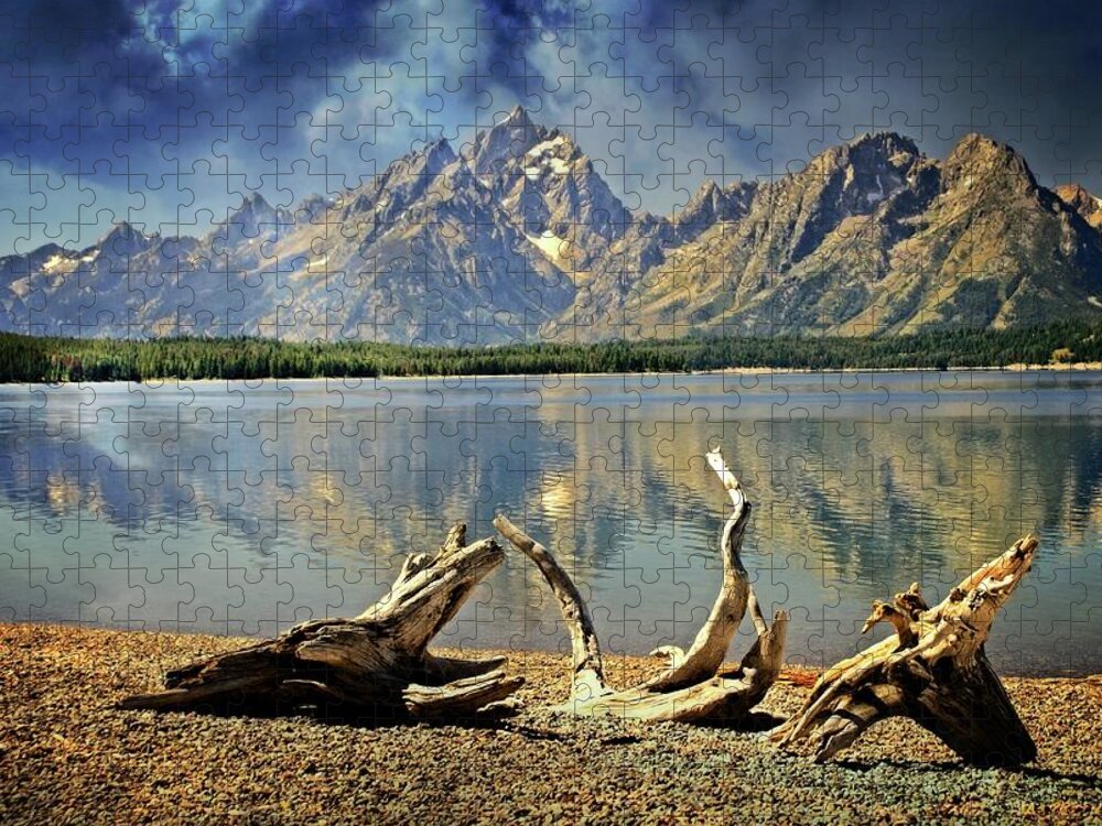 Grand Teton National Park Jigsaw Puzzle featuring the photograph Driftwood on Jackson Lake by Marty Koch