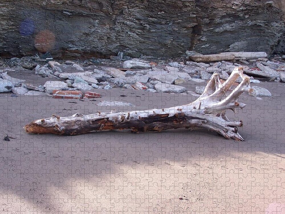 Driftwood Jigsaw Puzzle featuring the photograph Driftwood by Susan Turner Soulis