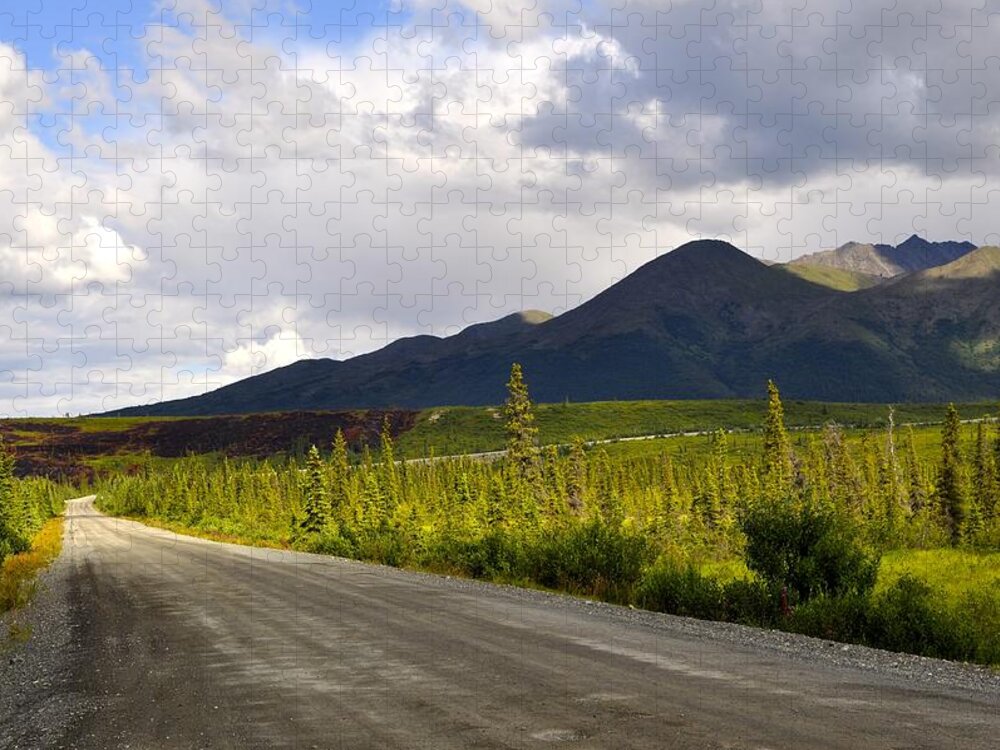Denali Highway Jigsaw Puzzle featuring the photograph Driving the Denali Highway by Cathy Mahnke