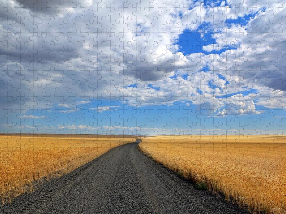 Driving Through The Wheat Fields Jigsaw Puzzle featuring the photograph Driving through the wheat fields by Lynn Hopwood