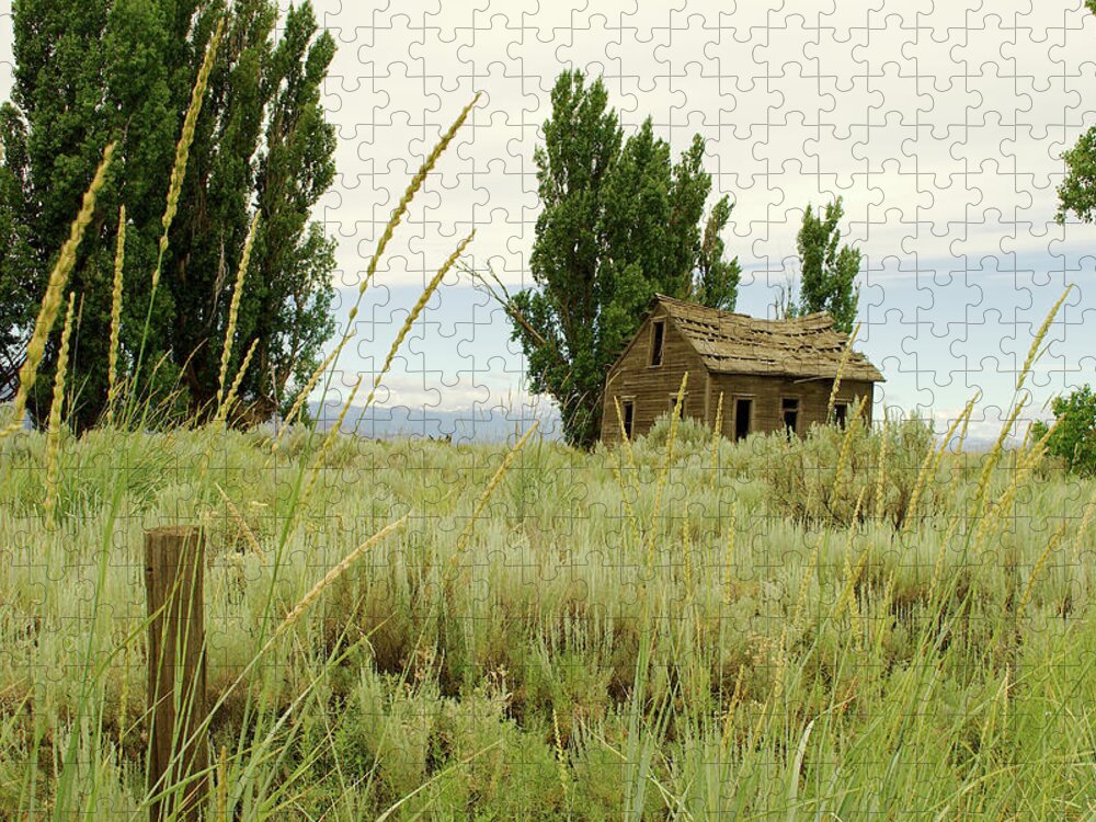 Dyer Jigsaw Puzzle featuring the photograph Dyer Country Home by Troy Stapek