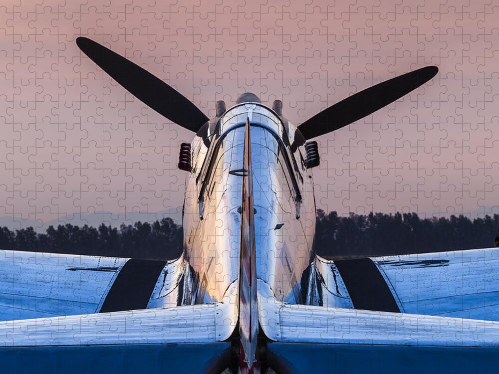 Curtiss Jigsaw Puzzle featuring the photograph Early Bird by Jay Beckman