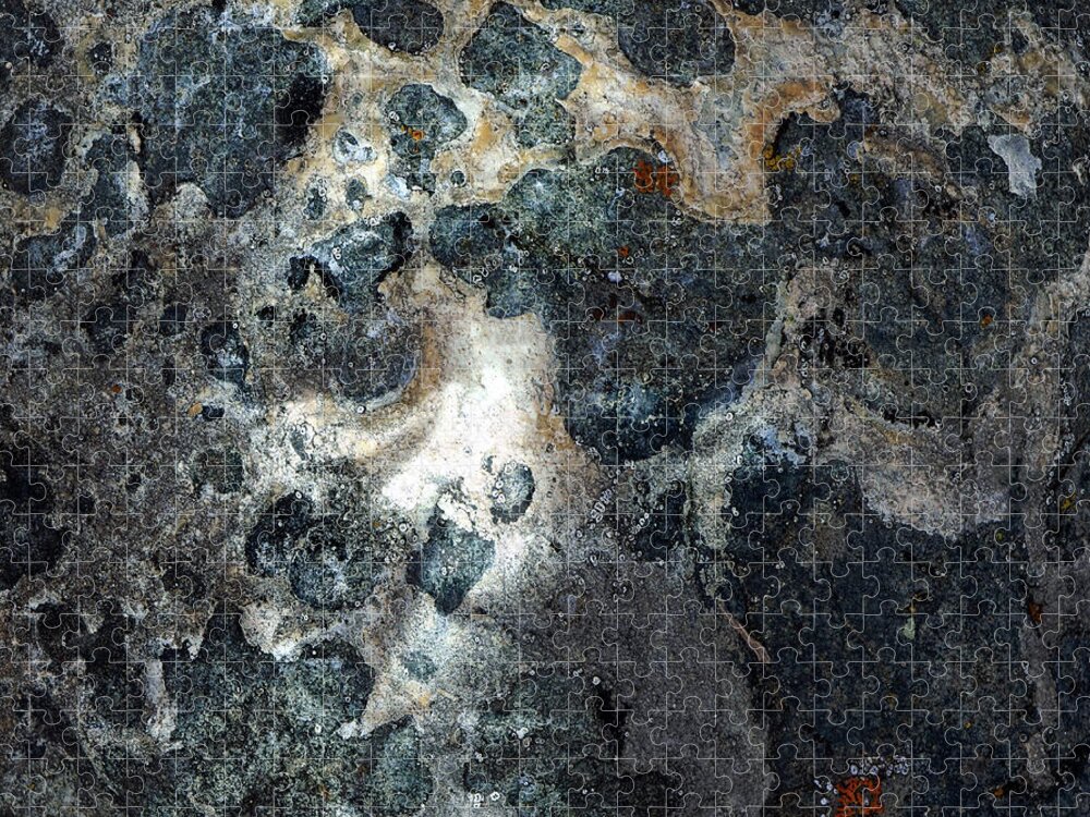 Rock Jigsaw Puzzle featuring the photograph Earth Memories - Stone # 8 by Ed Hall
