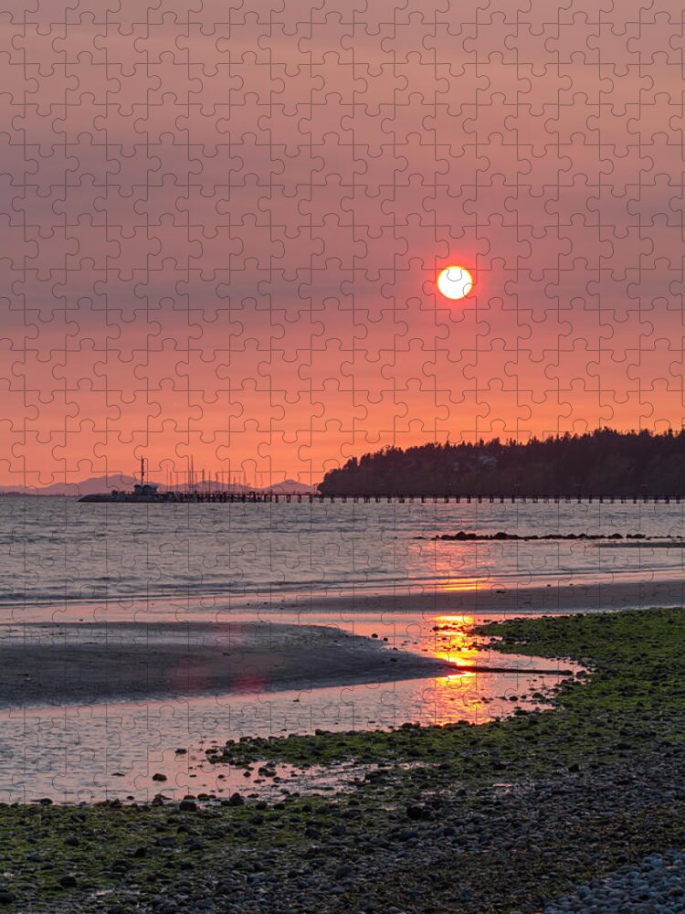 Algae Jigsaw Puzzle featuring the photograph East Beach Sunset by Michael Russell