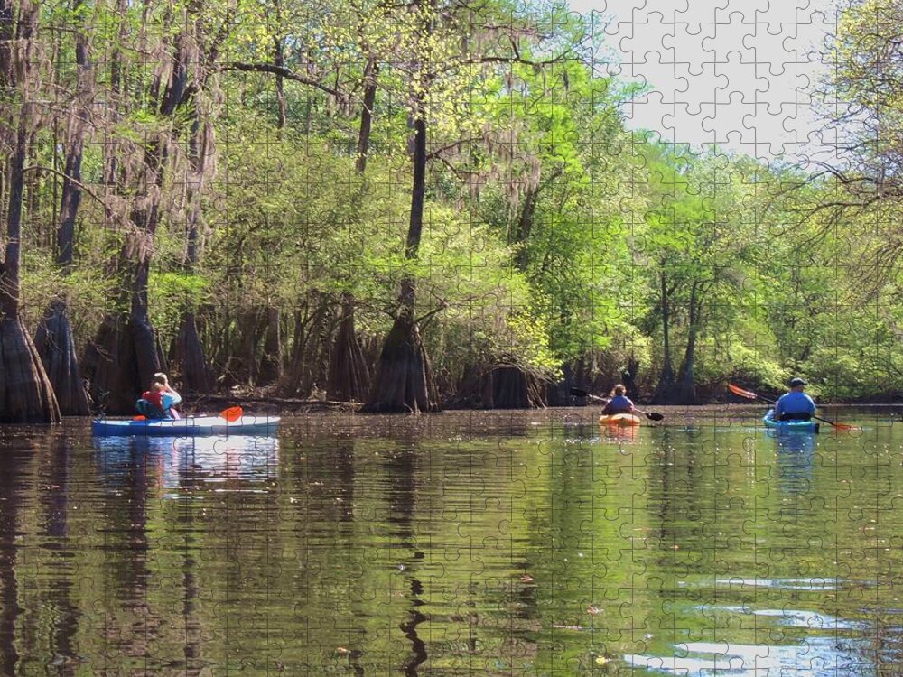 Nature Jigsaw Puzzle featuring the photograph Ebenezer Creek by Vincent Green