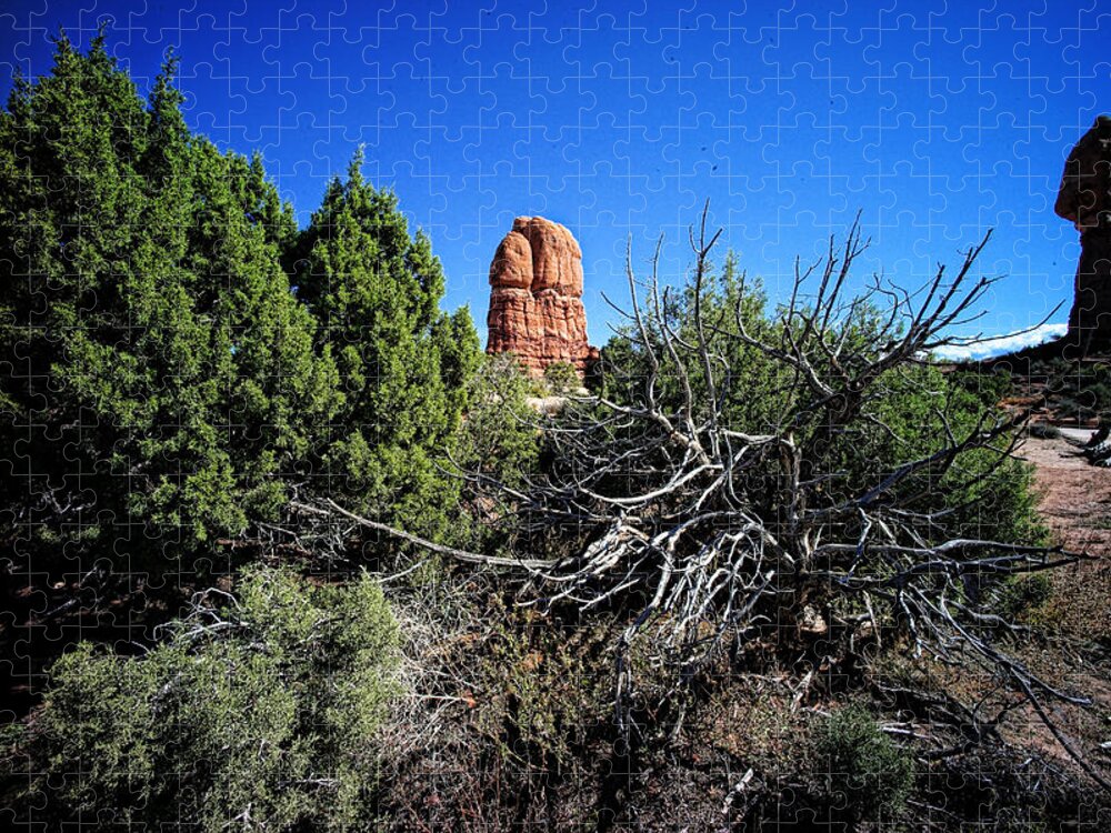 Arches National Park Jigsaw Puzzle featuring the photograph Edge Of Life Arches by Lawrence Christopher