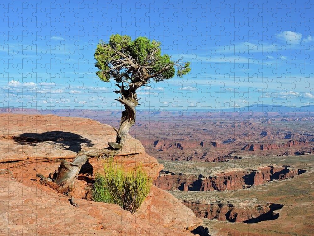 Canyonlands Jigsaw Puzzle featuring the photograph Edge of the Cliff by Connor Beekman