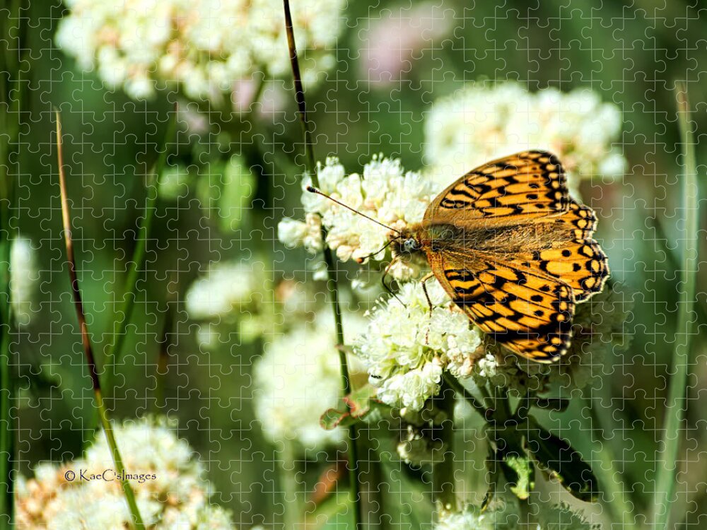 Butterfly Jigsaw Puzzle featuring the photograph Edward's Fritillary on Wildflower by Kae Cheatham