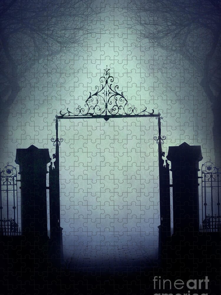 Gate Jigsaw Puzzle featuring the photograph Eerie Gateway In Fog At Night by Lee Avison
