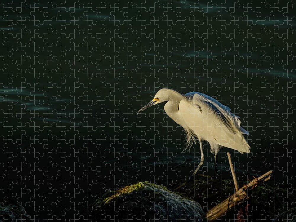 Egret Jigsaw Puzzle featuring the photograph Egret by Robert Mitchell