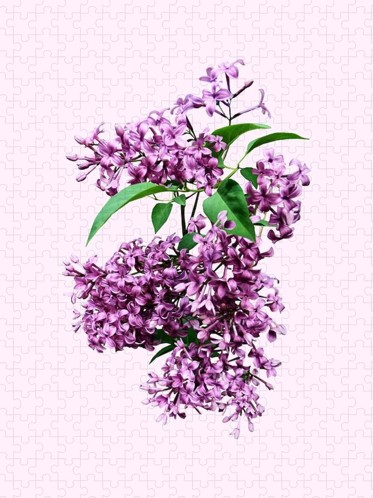 Lilacs Jigsaw Puzzle featuring the photograph Elegant Lilacs by Susan Savad