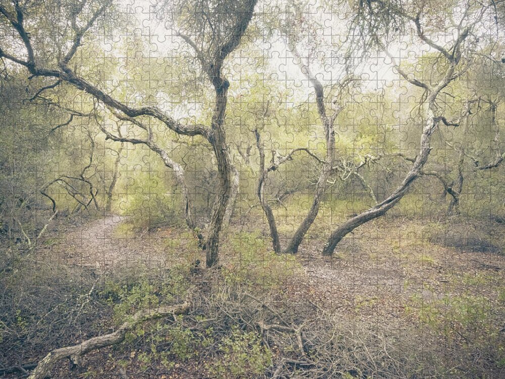 Bushes Jigsaw Puzzle featuring the photograph Enchanted Elfin Forest by Alexander Kunz