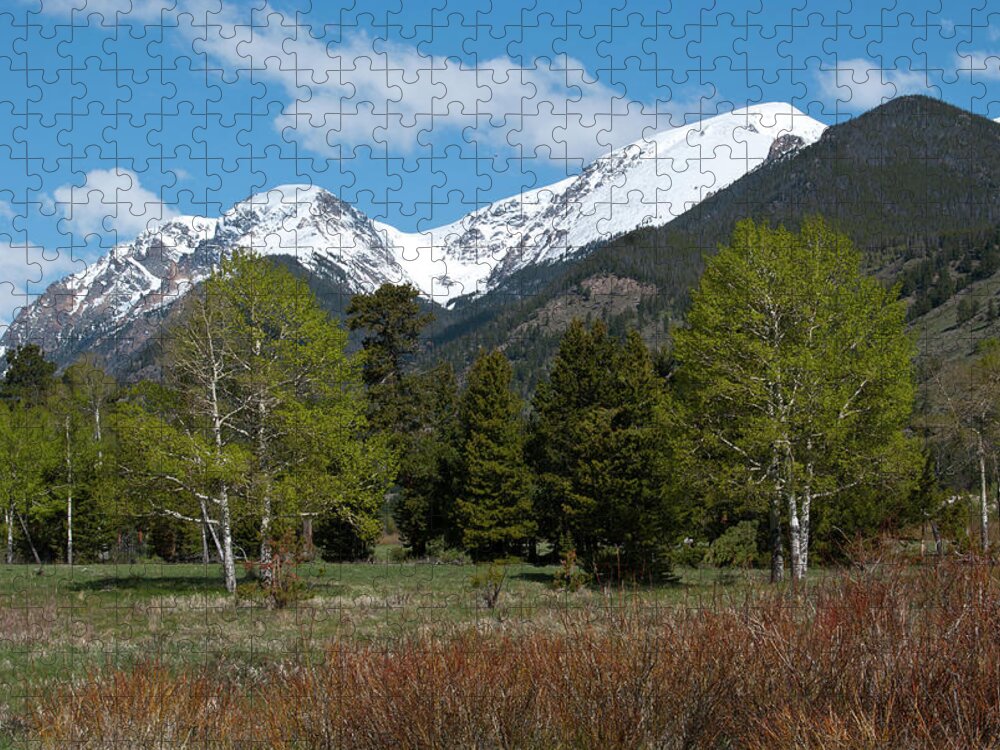 Endovalley Jigsaw Puzzle featuring the photograph Endovalley Spring Landscape by Cascade Colors