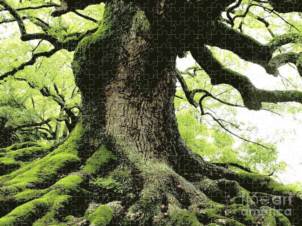 Tree Jigsaw Puzzle featuring the photograph Endurance in Japan - Digital Art by Carol Groenen