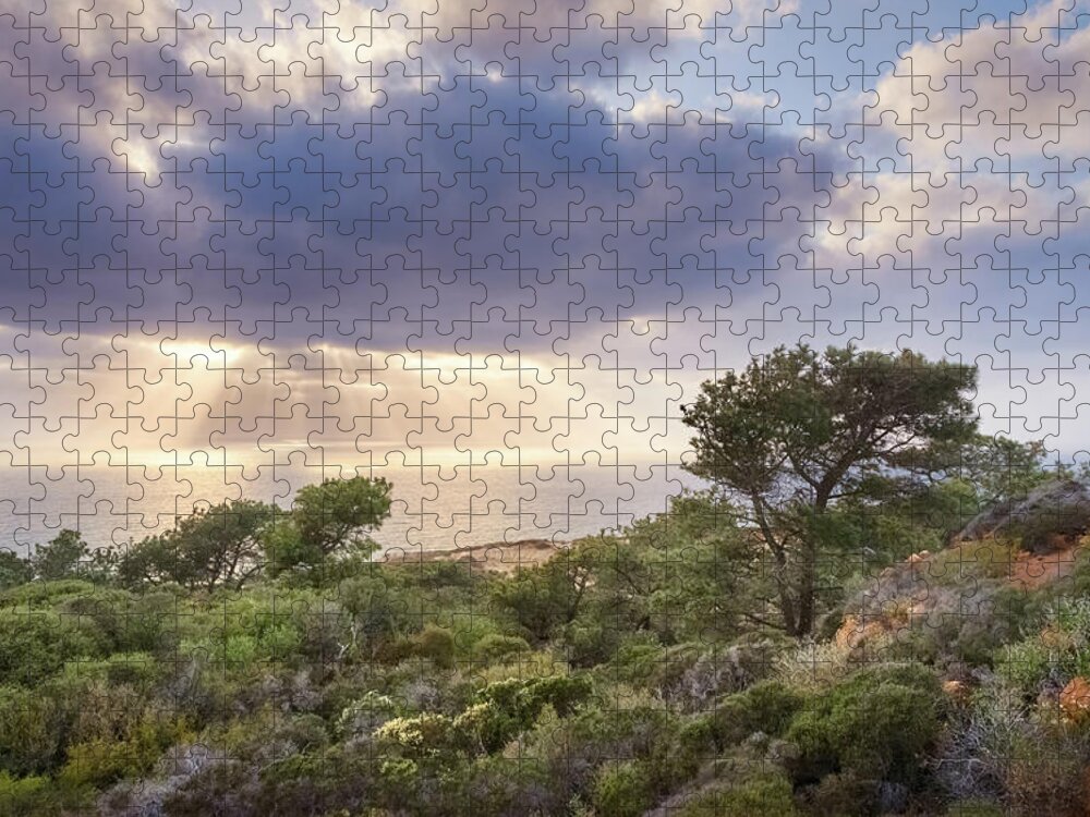 Torrey Pines Jigsaw Puzzle featuring the photograph Enjoy the Show by Alexander Kunz