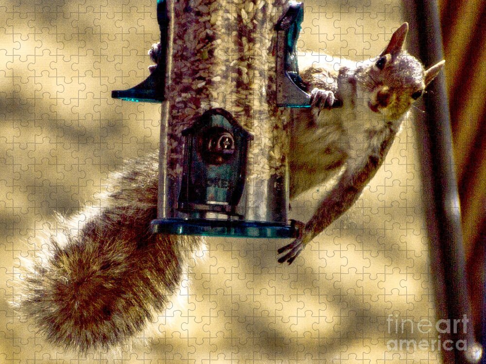 Bird Feeder Jigsaw Puzzle featuring the photograph Equal Access by William Norton