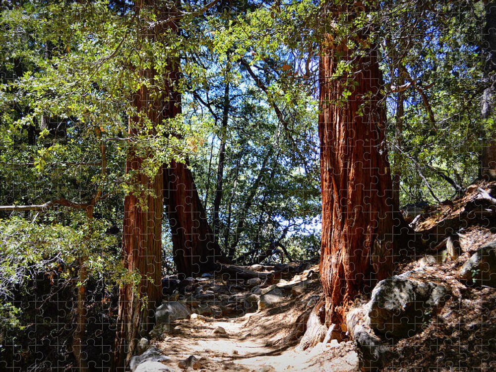 Glenn Mccarthy Jigsaw Puzzle featuring the photograph Ernie Maxwell Scenic Trail - Idyllwild by Glenn McCarthy Art and Photography