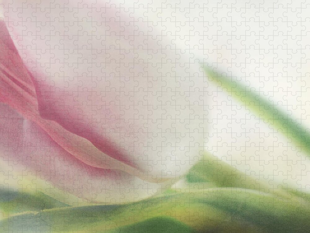 Tulip Jigsaw Puzzle featuring the photograph Erotic Flower by Heike Hultsch