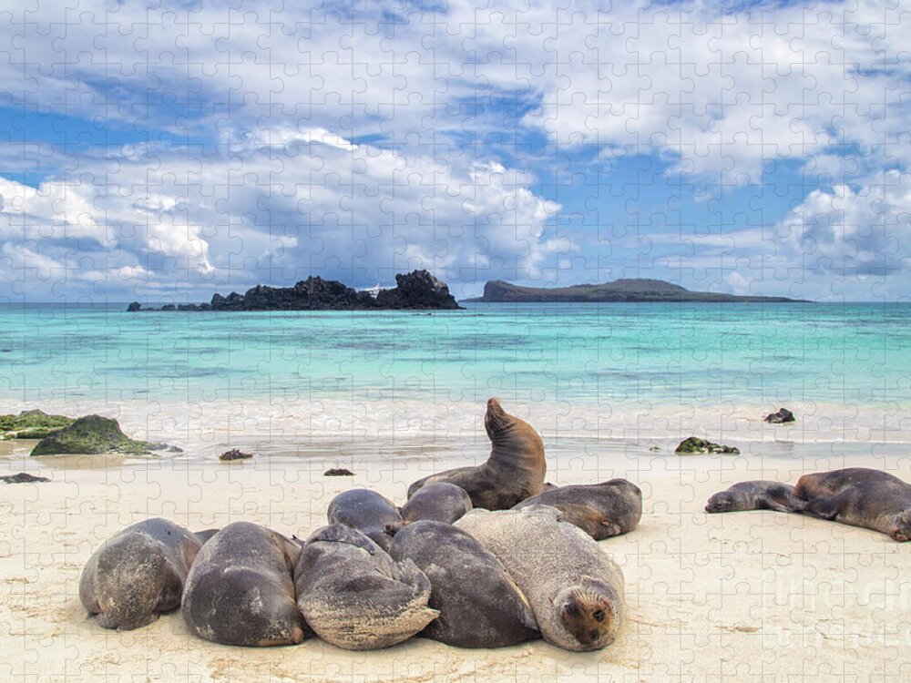 Galapagos Jigsaw Puzzle featuring the photograph Espaniola by Becqi Sherman